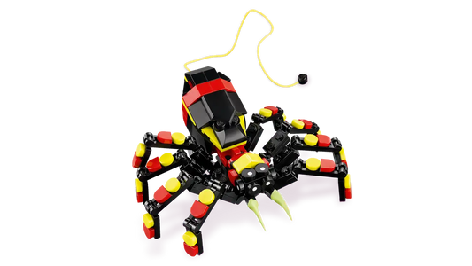 Wild Animal: Surprising Spider
