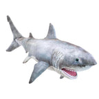 Great White Shark Puppet / Grand Requin Blanc