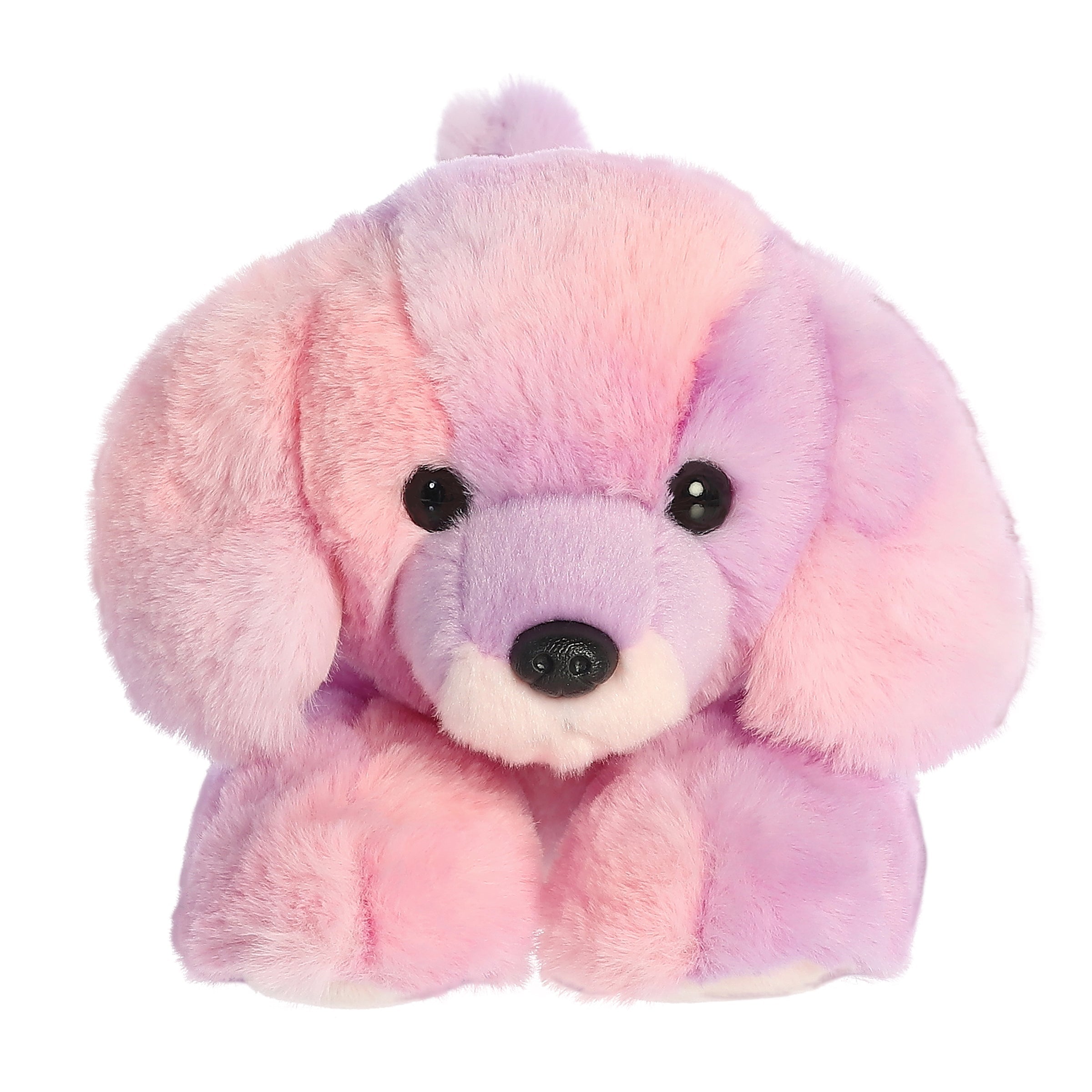 Paisley (Dog) 12"