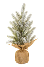 Green/White Frosted Christmas Tree with Burlap Wrapped Base