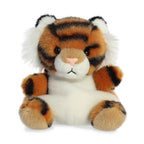 Indy Tiger 5"