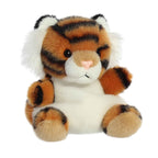 Indy Tiger 5"