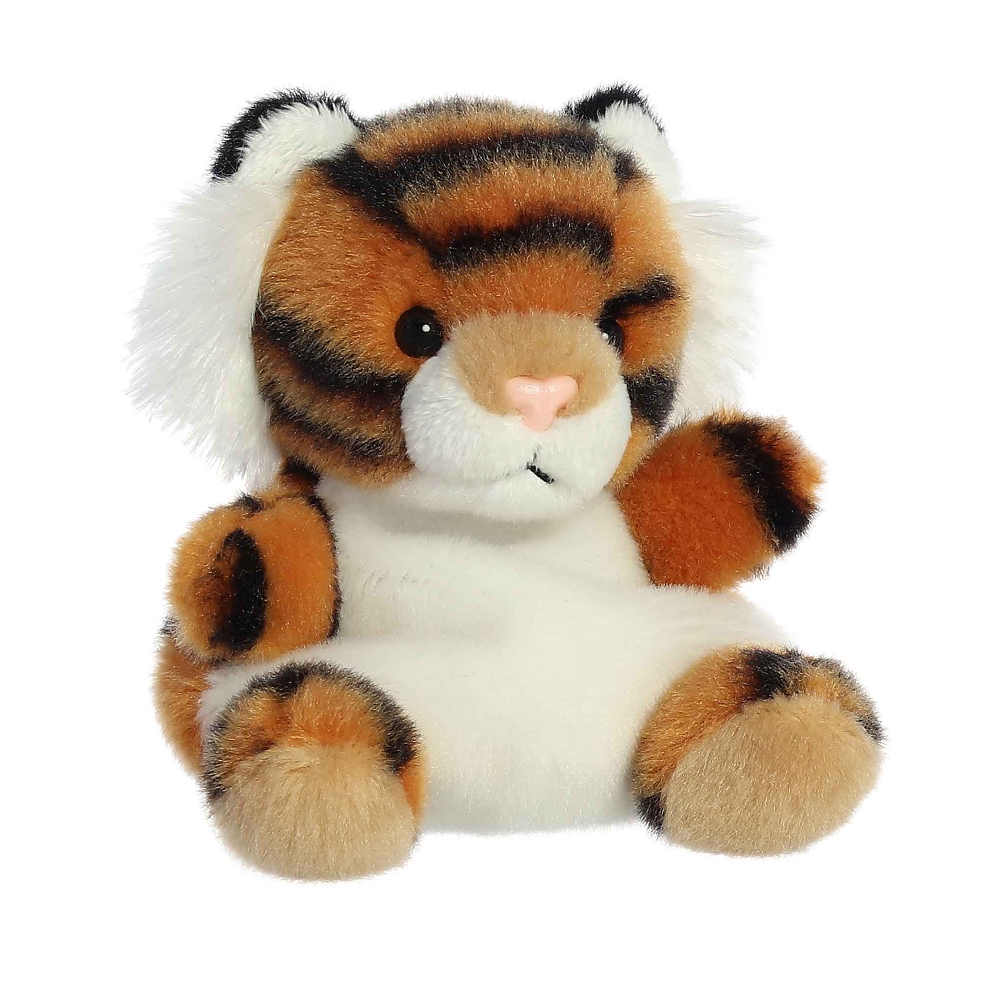 Indy Tiger 5"