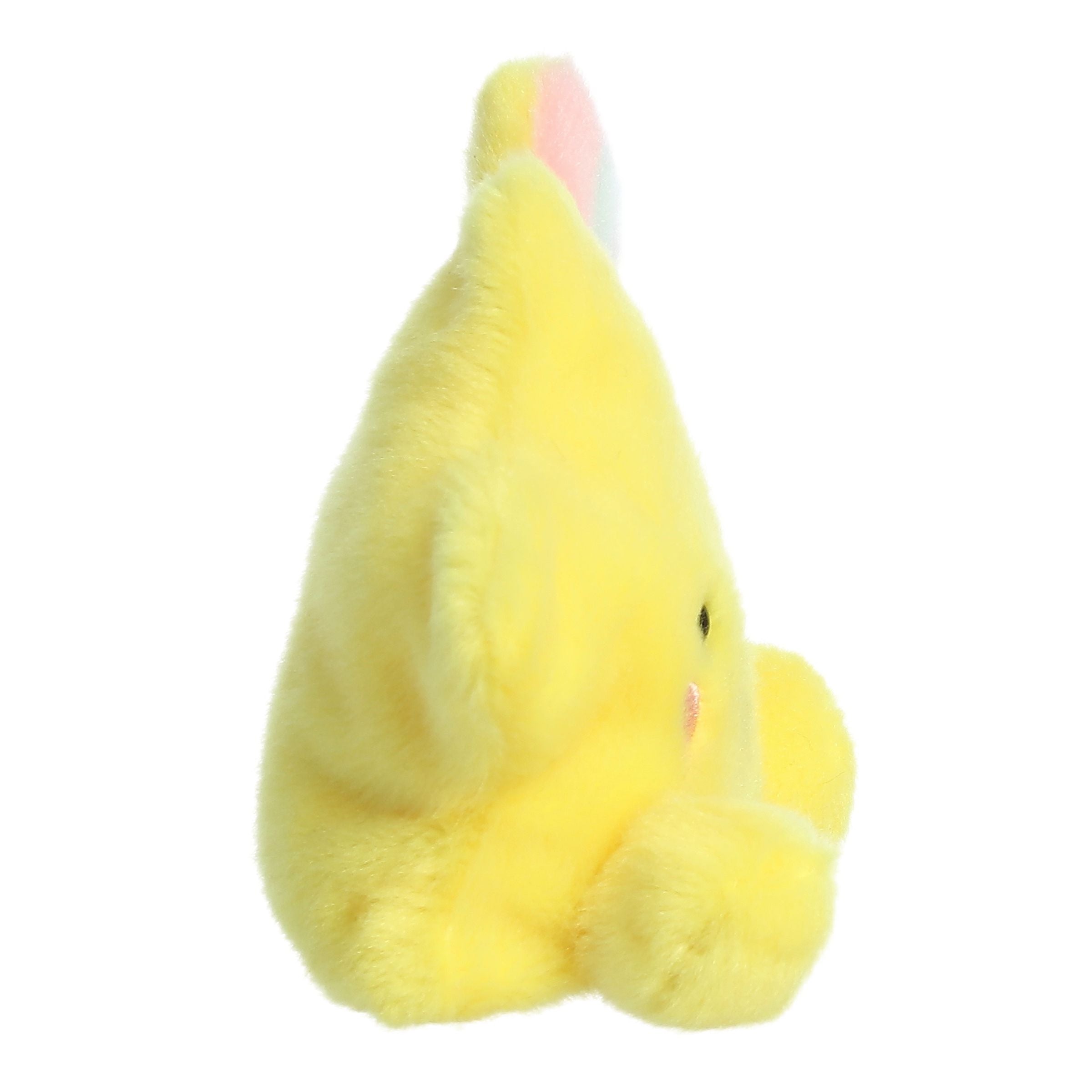 Pisces Star 5"