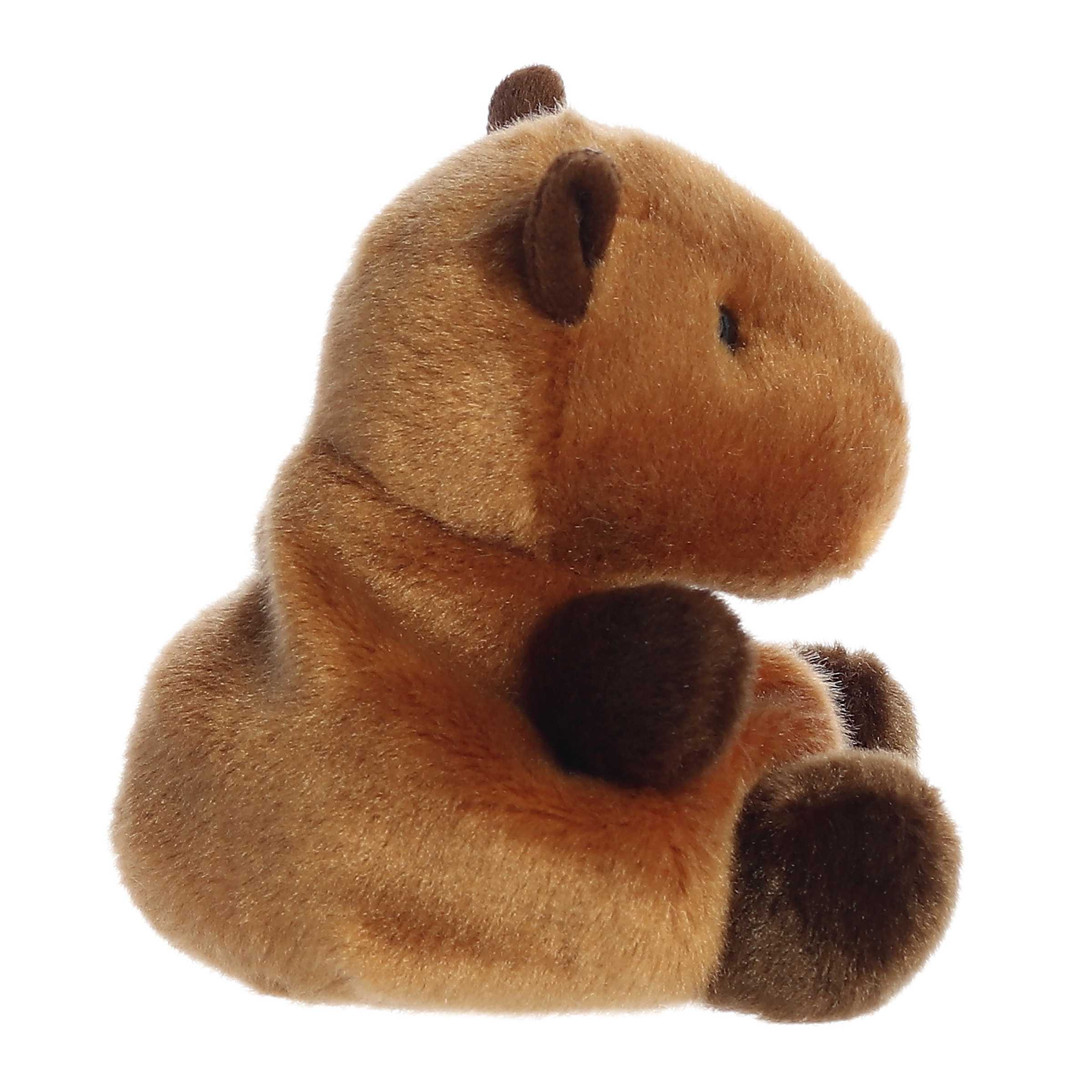 Sid Capybara 5"