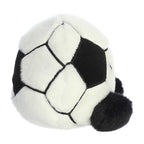 Striker Soccerball 5"