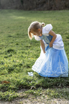 Once Upon a Princess Cinderella