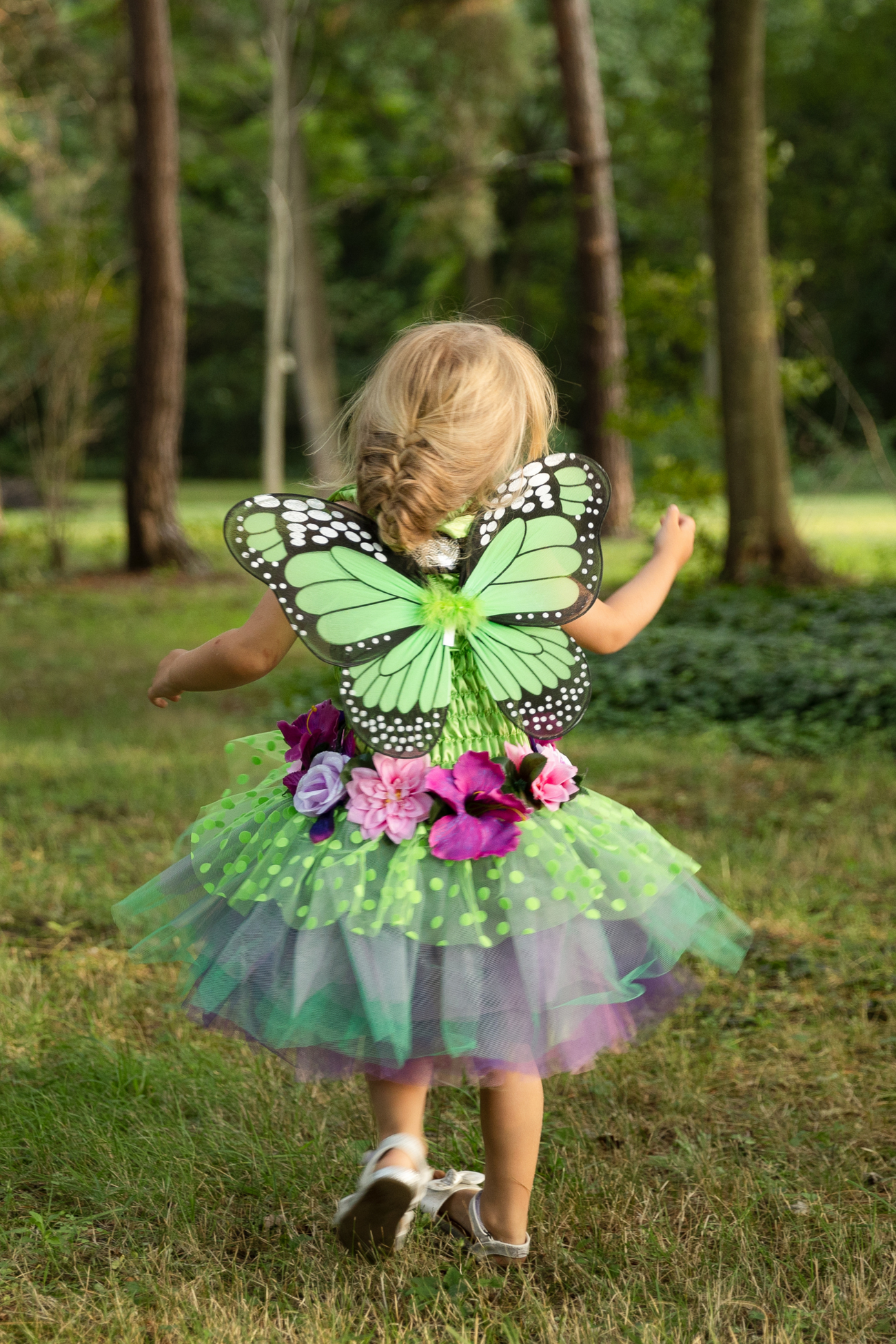 Fairy Blooms Deluxe Dress & Wings