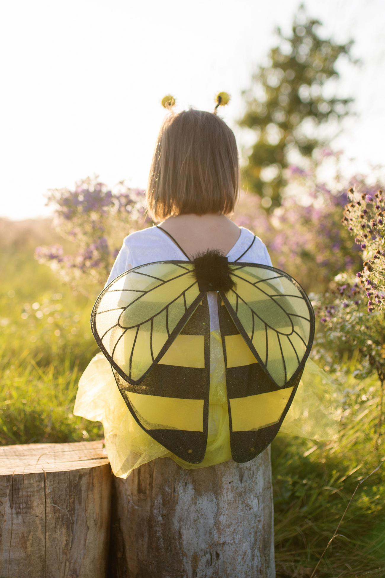Glitter Bumblebee Tutu With Wings & Headband