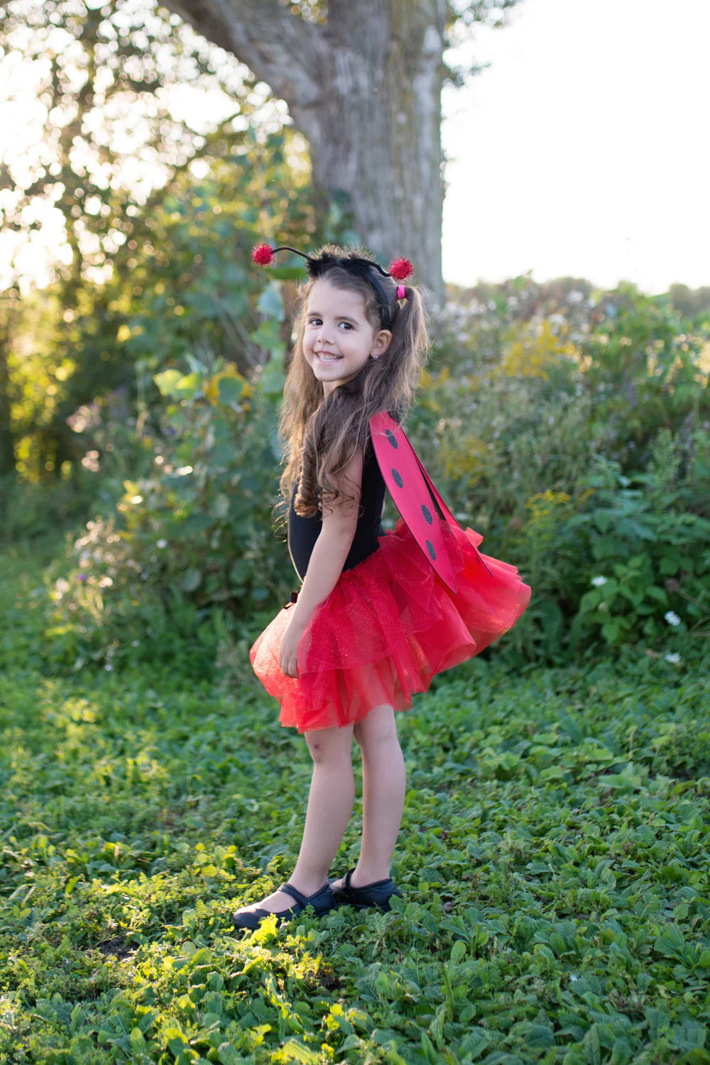 Glitter Ladybug Tutu With Wings & Headband