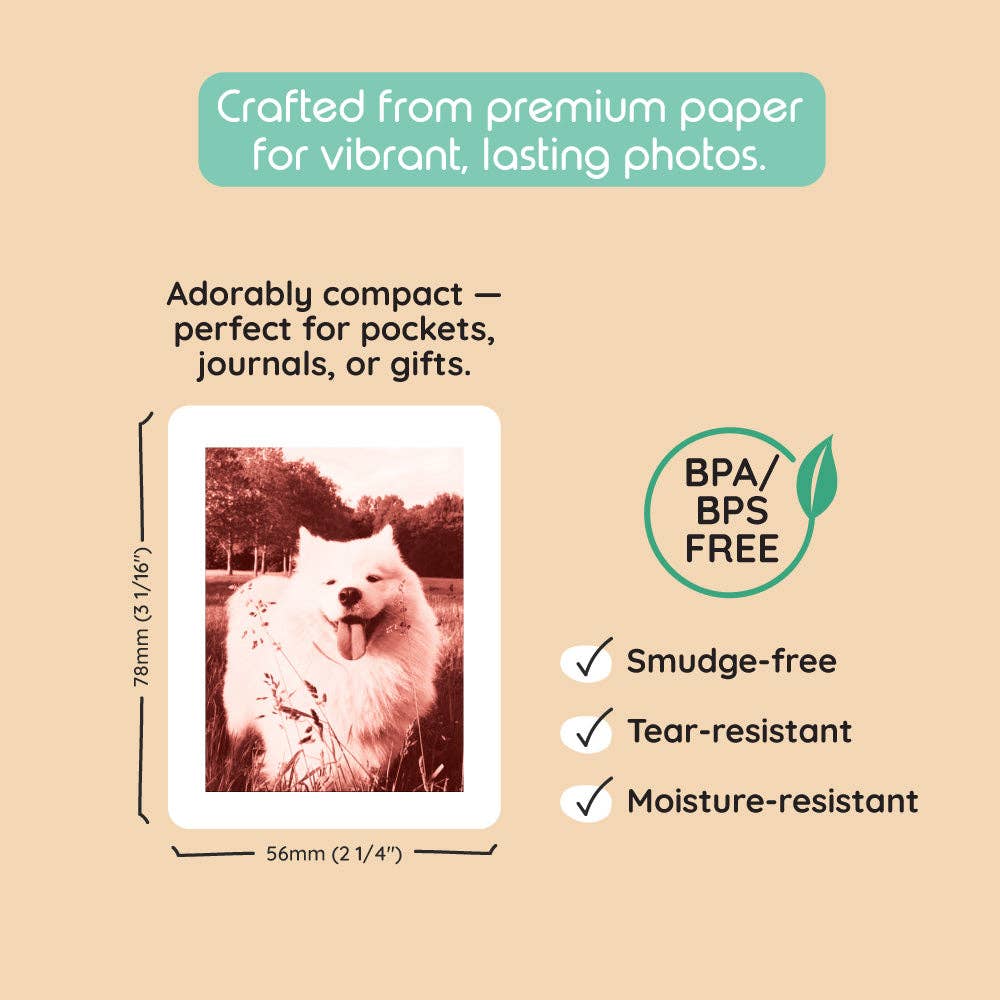 Print Pack 40 Prints | For Model P2