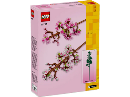 Cherry Blossom