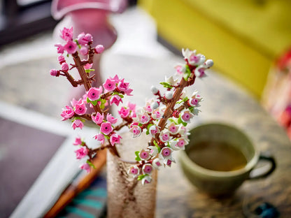 Cherry Blossom