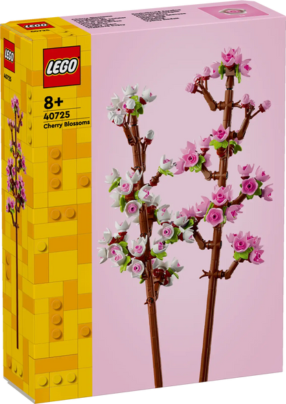 Cherry Blossom