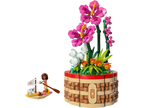 Moana's Flowerpot