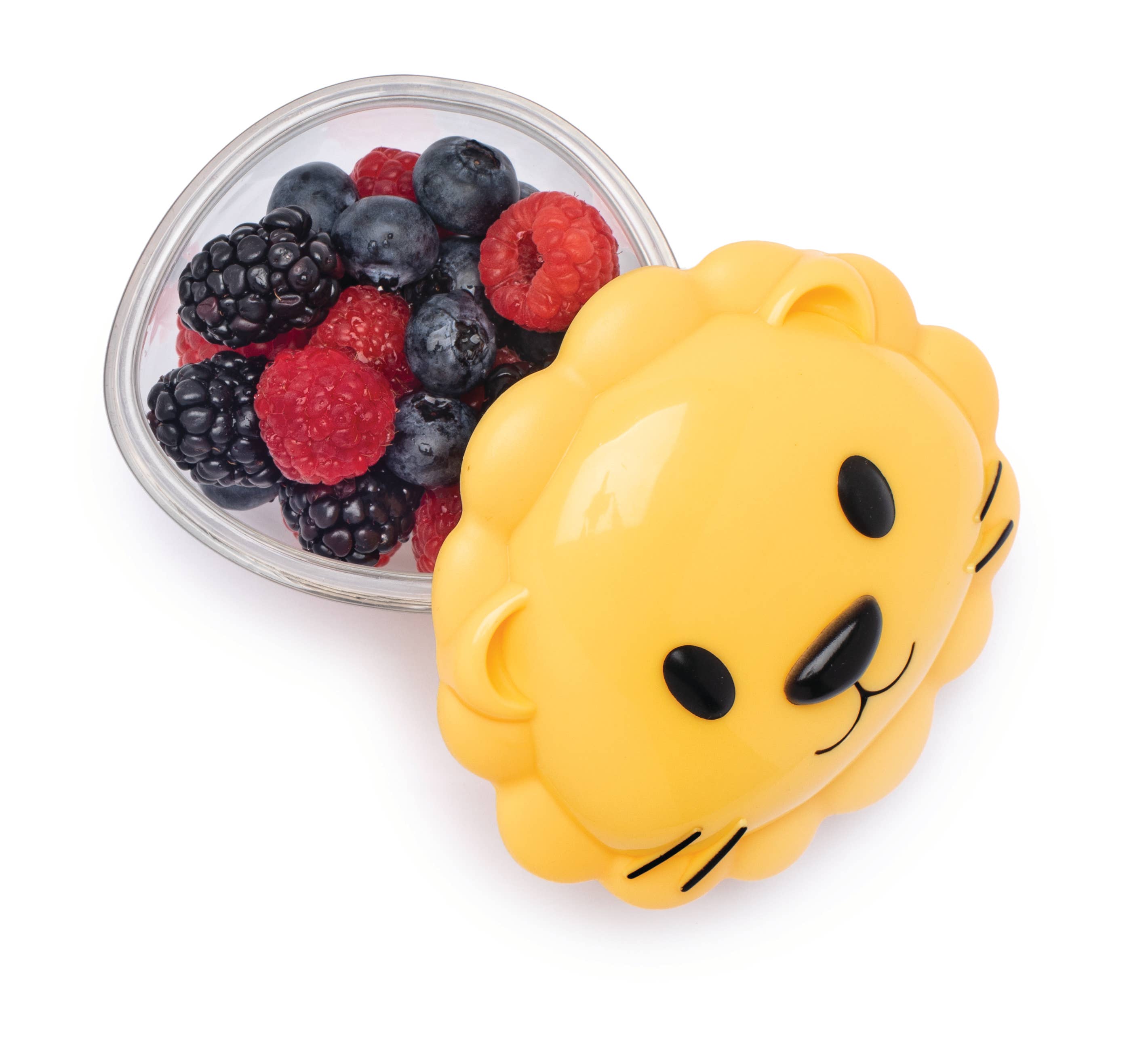 Snack Container - Lion