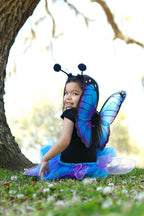Midnight Butterfly Tutu With Wings & Headband