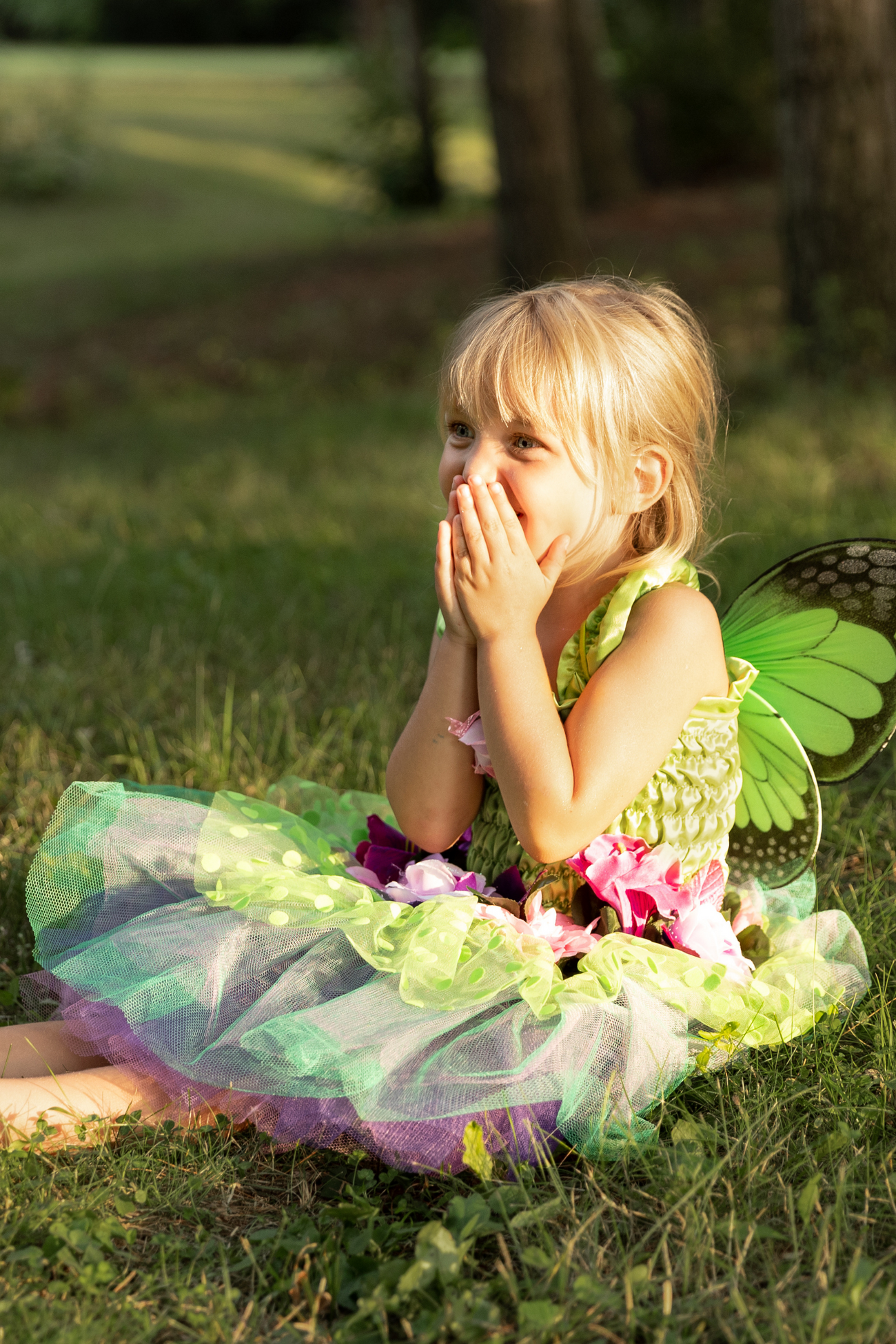 Fairy Blooms Deluxe Dress & Wings
