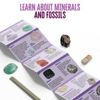 I Dig It! Rocks & Fossils - Mini Excavation (Giftbox)
