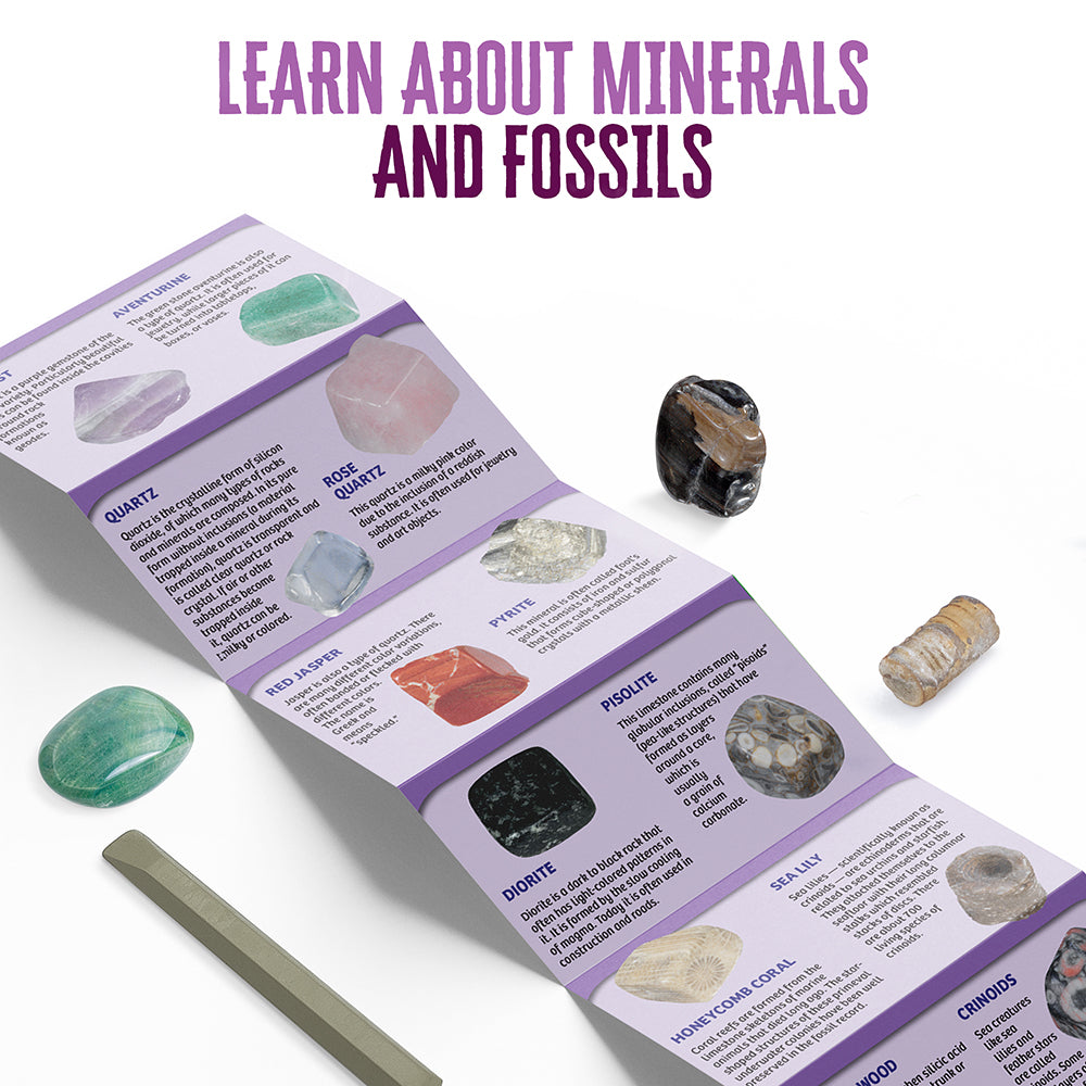 I Dig It! Rocks & Fossils - Mini Excavation (Giftbox)