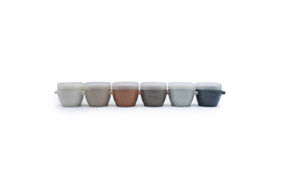 2oz Snap & Go Pods - 6 Freezer & Snack Containers