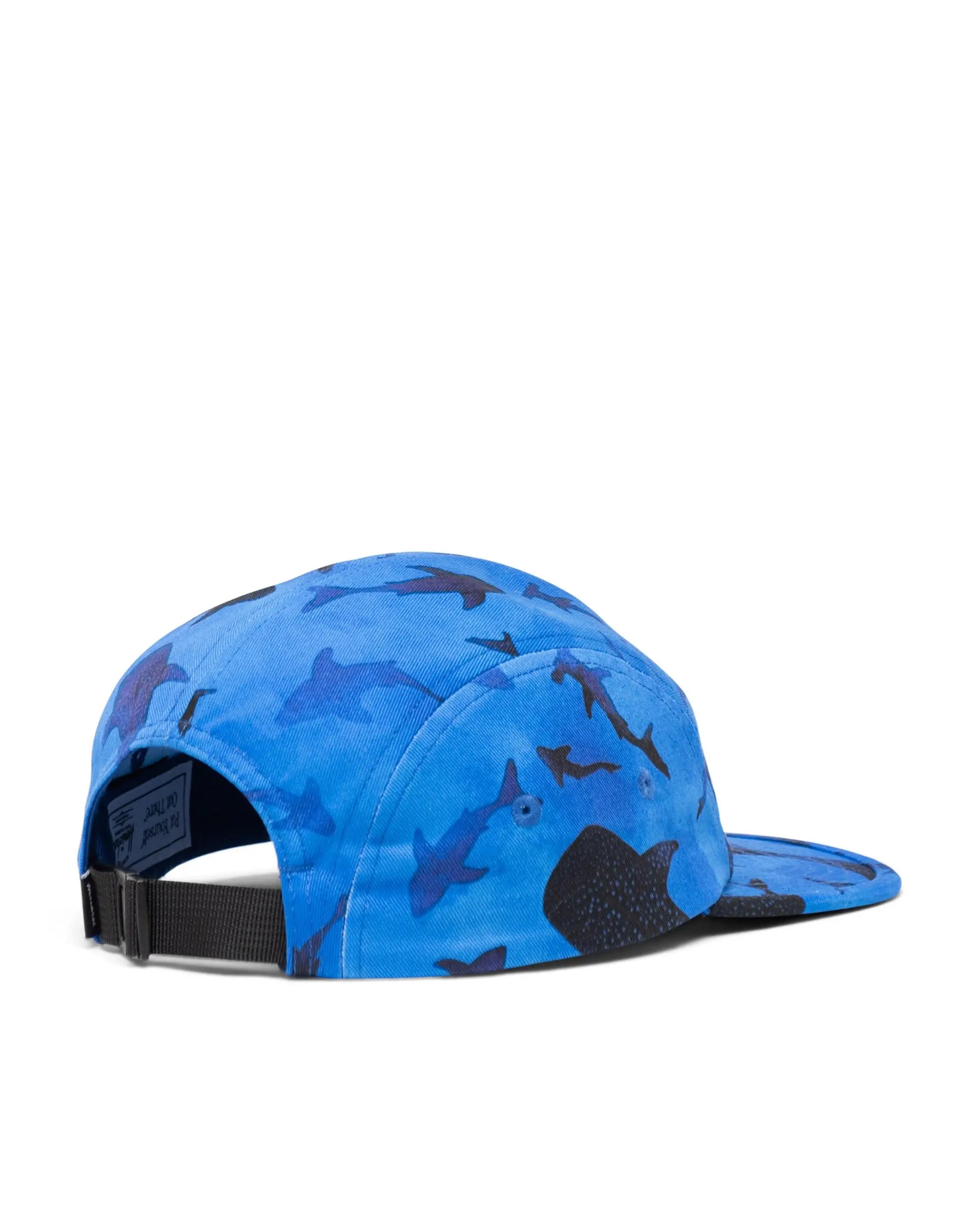 Glendale Kids Cap - Sharks