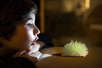 Glow Crystal Growing
