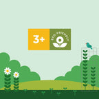 Shine Bright In the Garden