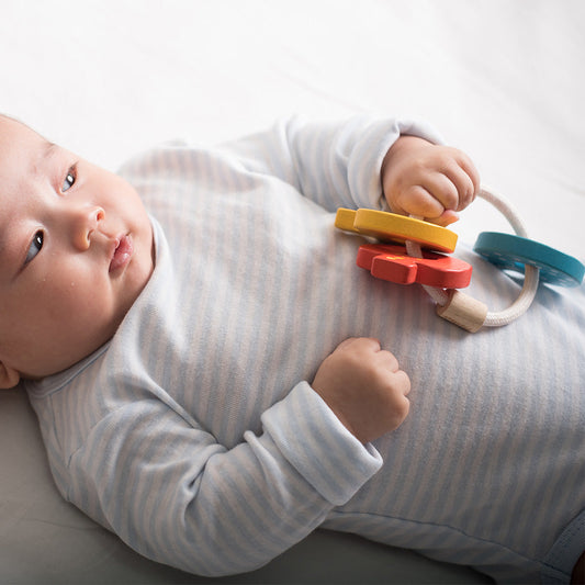 Baby Key Rattle Plan Toys