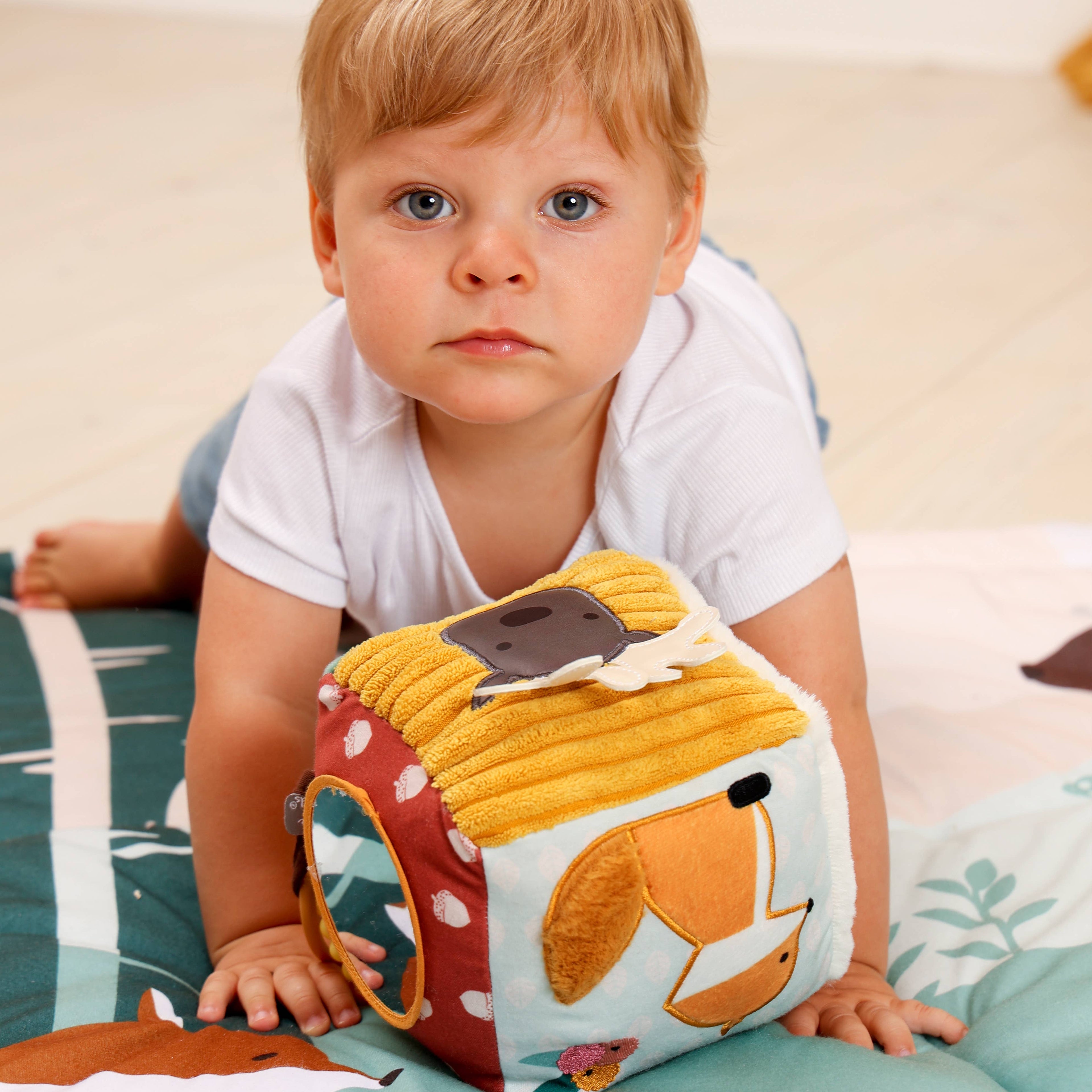 Activity Cube - Forest - Sensory Toy