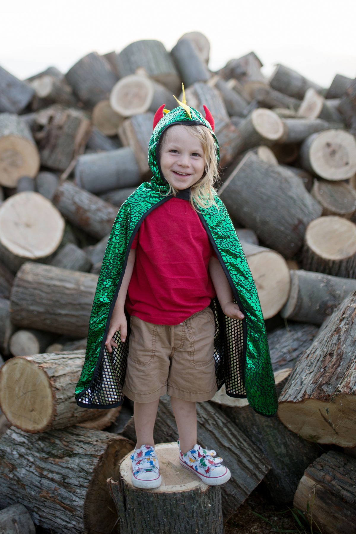 Reversible Dragon Knight Cape (5-6 years)