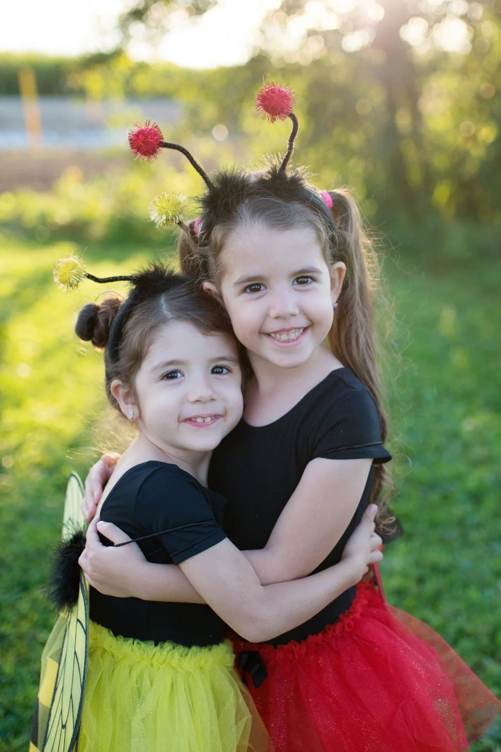 Glitter Ladybug Tutu With Wings & Headband