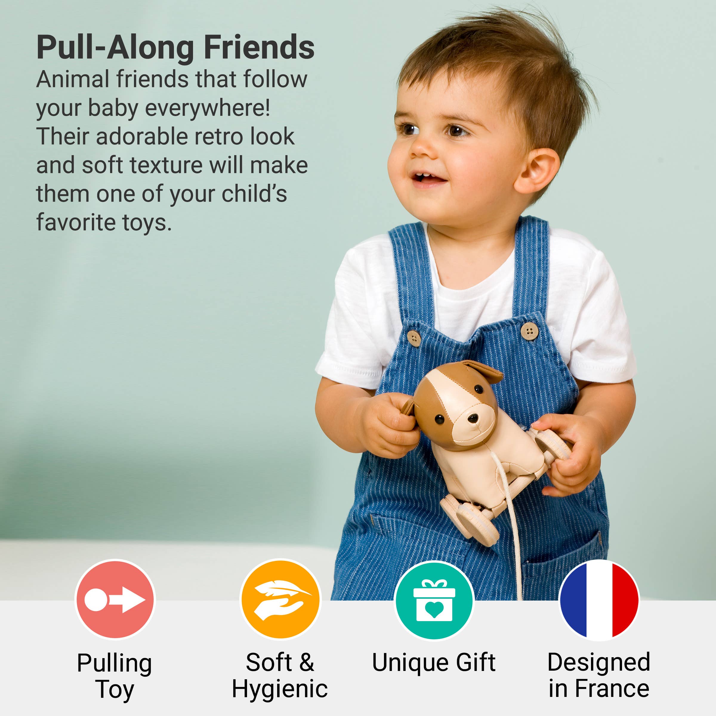 Pull Along Friends - Dog - Toy with Wheels