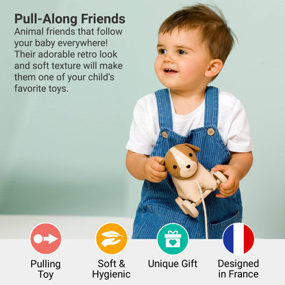 Pull Along Friends - Dog |Toy with Wheels
