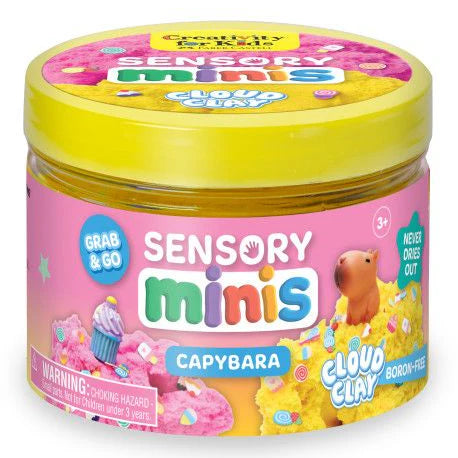 Sensory Minis