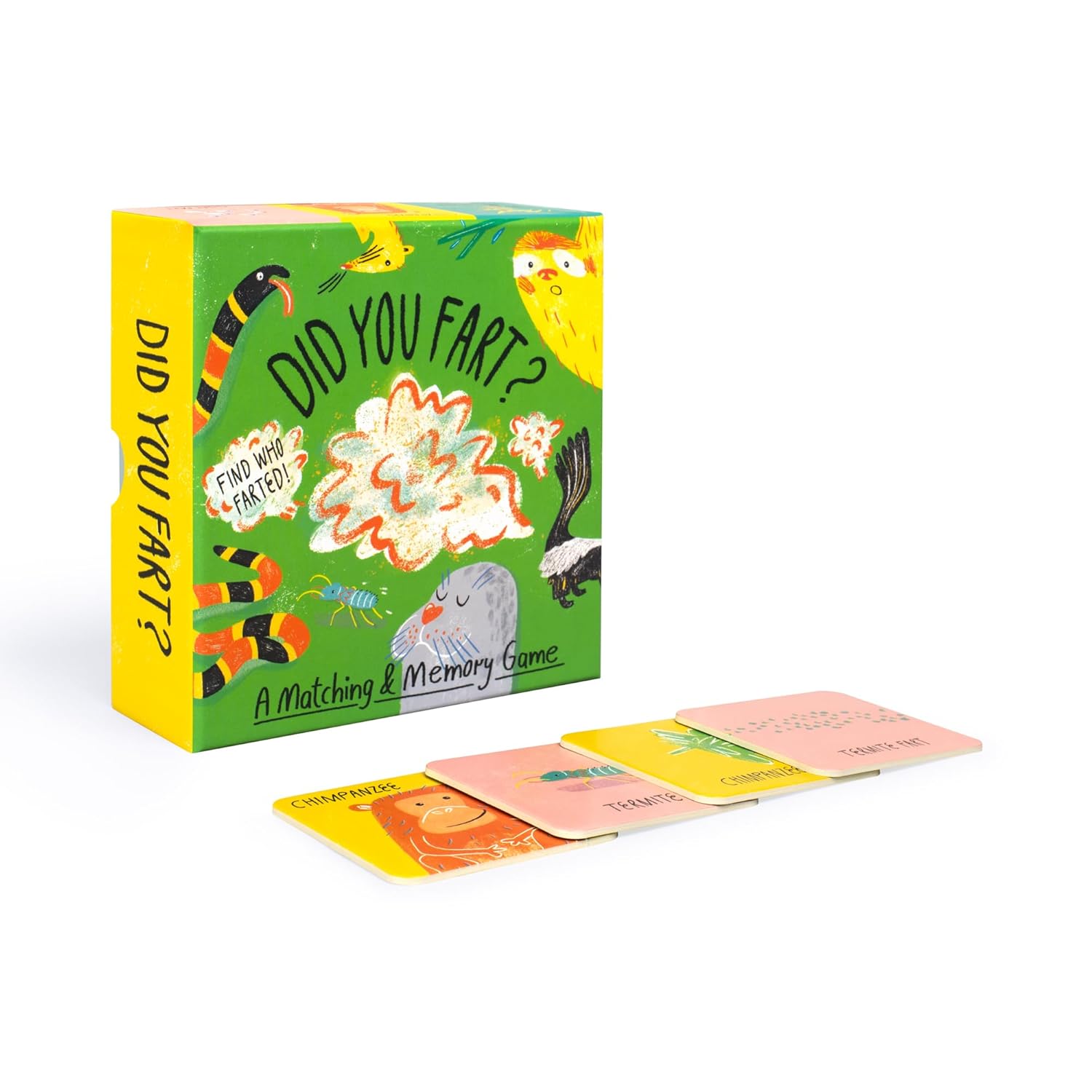 Did You Fart?: A Matching & Memory Game