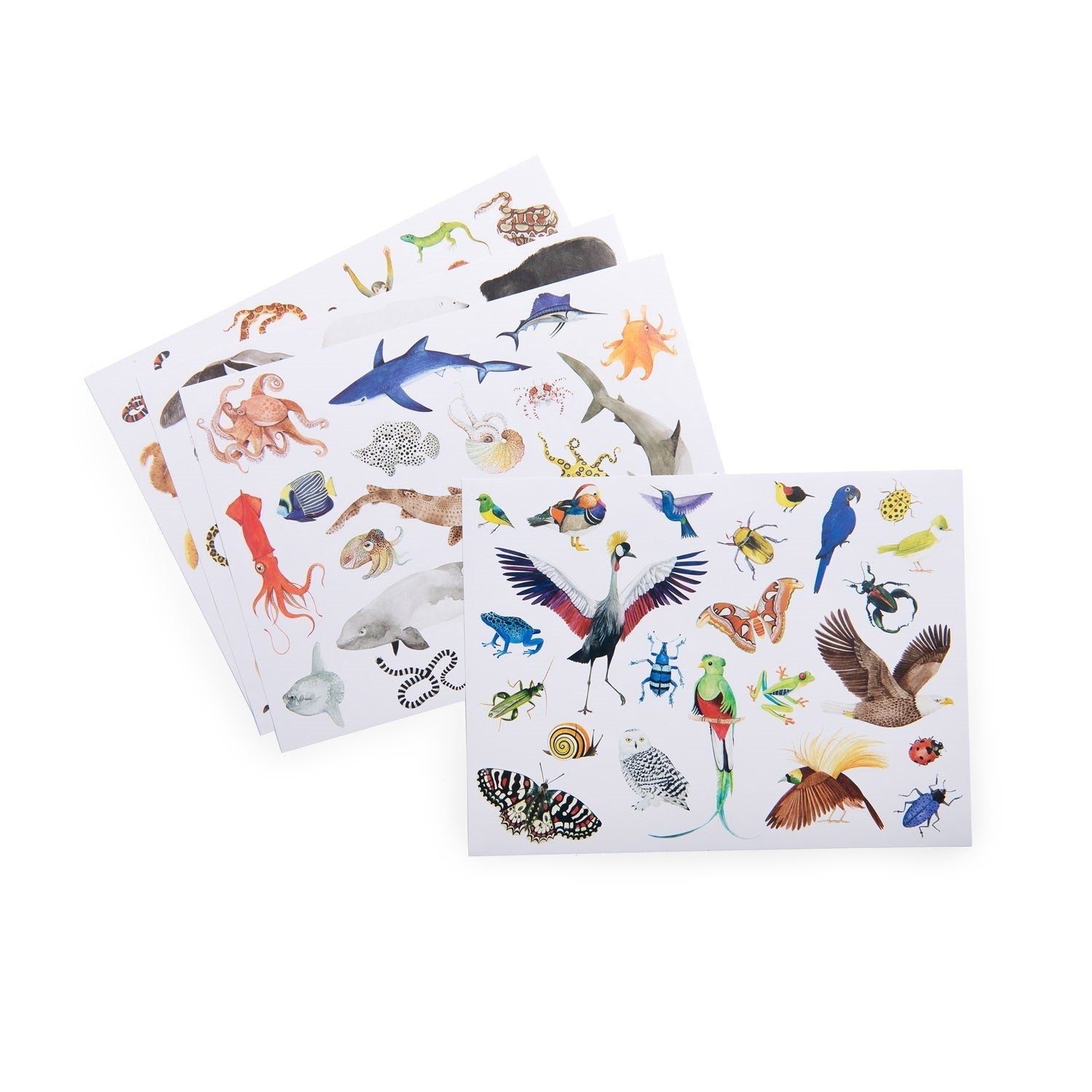 Tout Autour Du Monde- Pack of 78 Stickers