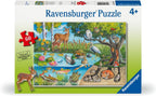 Animals Above and Below 60 Pc Puzzle