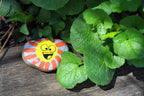 Hide & Seek Dot-a-Rock Painting Kit