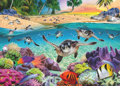 Race of Baby Sea Turtles