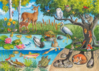 Animals Above and Below 60 Pc Puzzle
