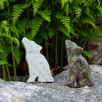Wolf Soapstone Carving Kit