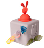 Pop-Up Tissue box