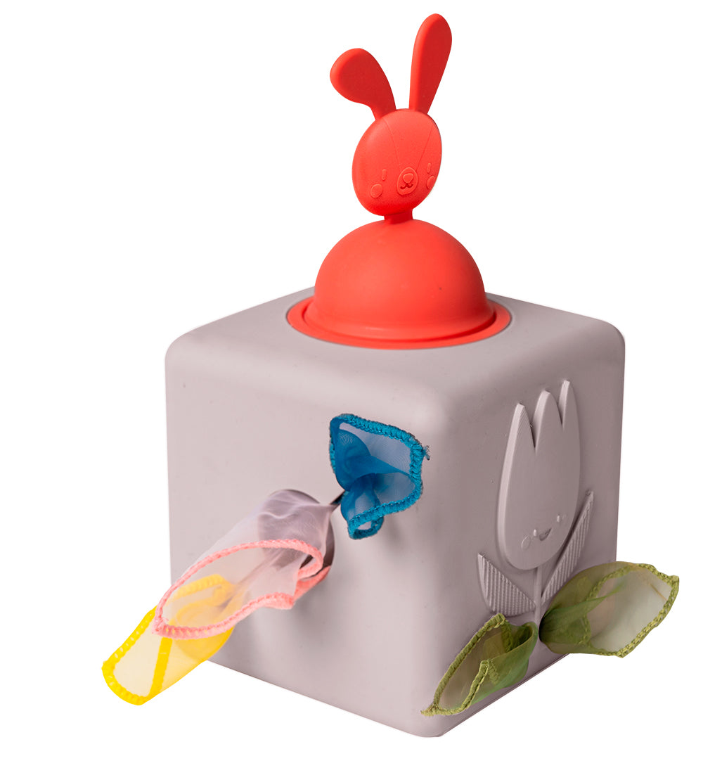 Pop-Up Tissue box