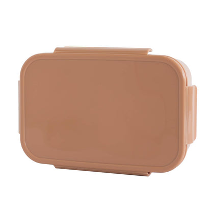 Recycled Plastic Bento Box