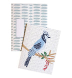 Blue Jay Greeting Card - Blank, Eco-Friendly, A2 Size