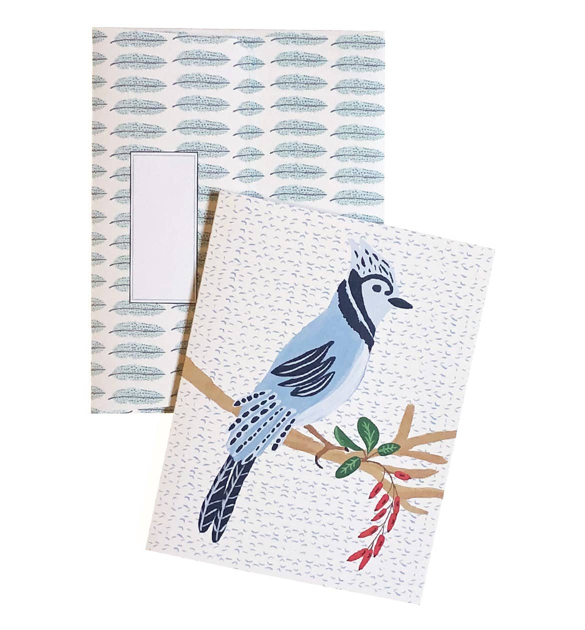 Blue Jay Greeting Card - Blank, Eco-Friendly, A2 Size
