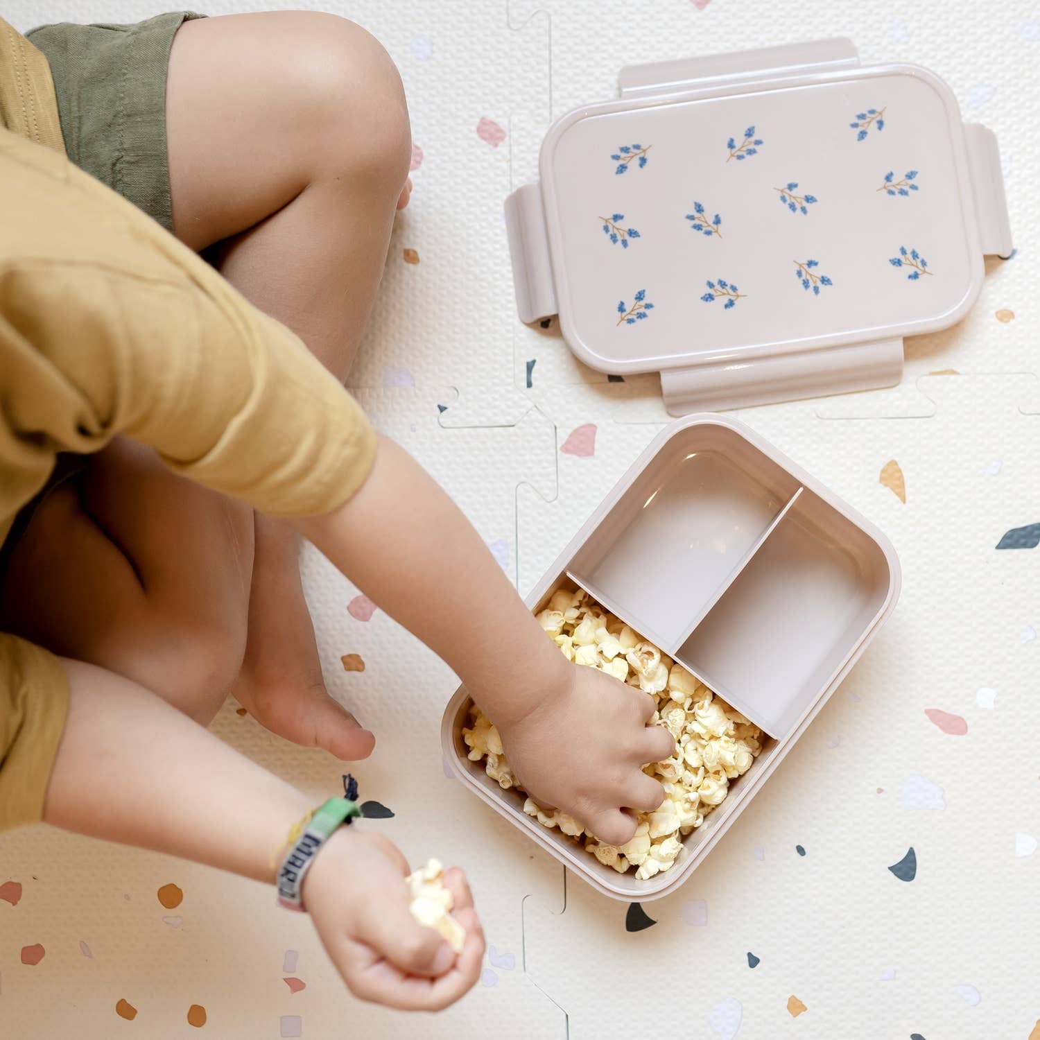 Recycled Plastic Bento Box