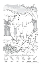 My 1st Hidden Pictures