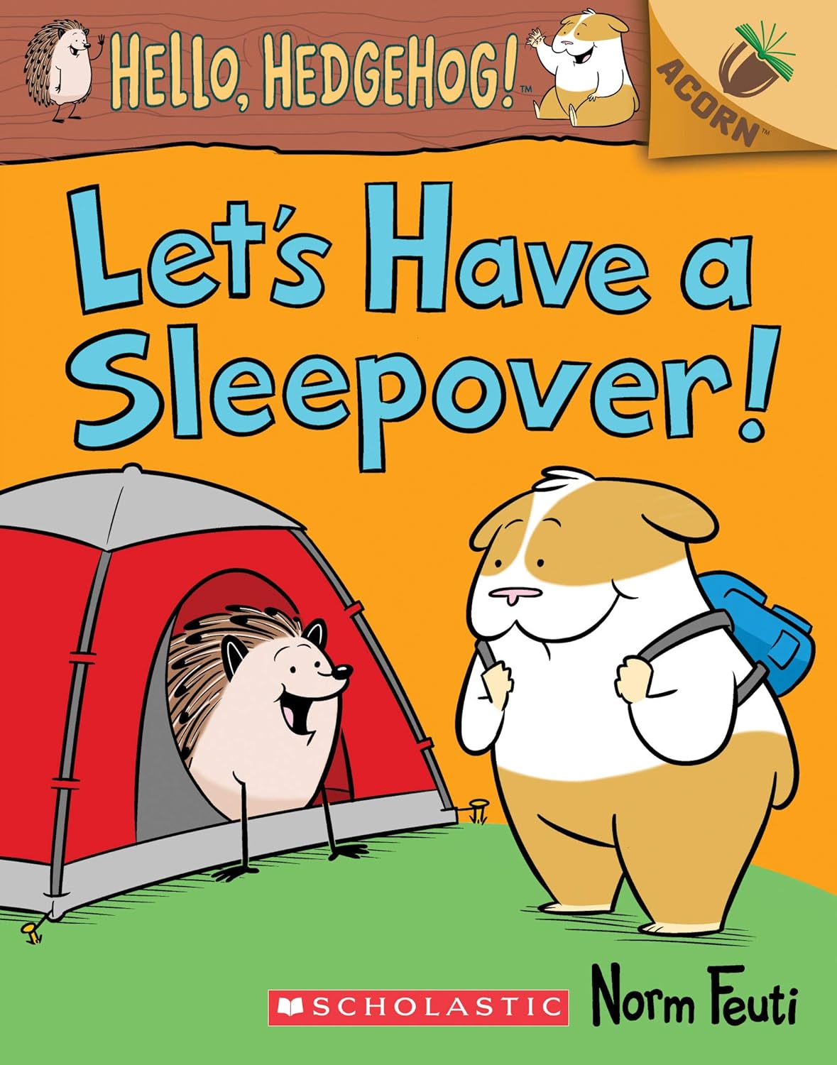 Let's Have a Sleepover!: An Acorn Book